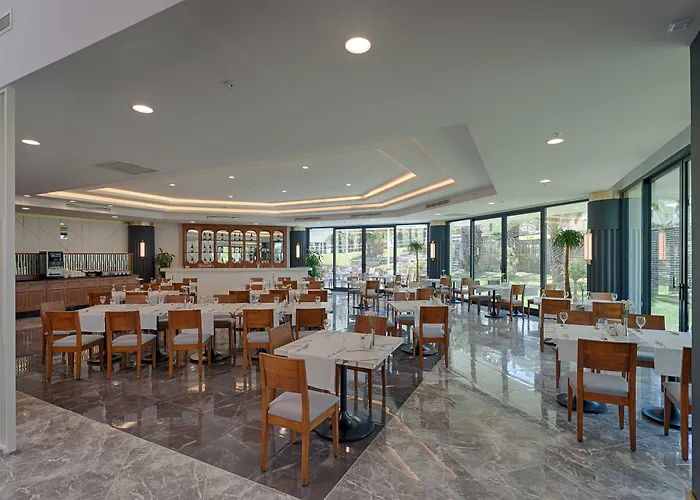 Seven Seas Blue סייד