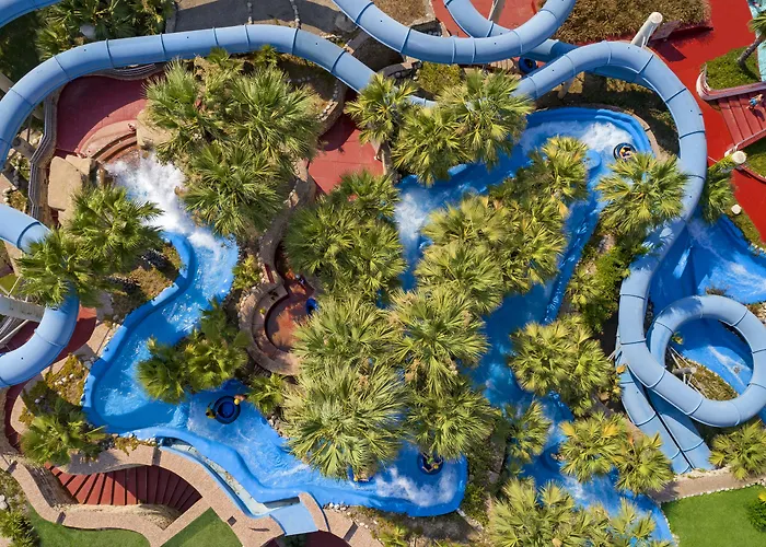 Seven Seas Blue 5* シダ