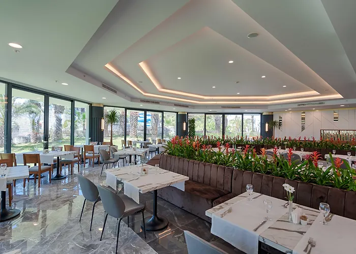 Seven Seas Blue 5* シダ