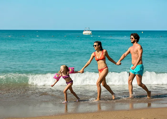 Seven Seas Blue 5* シダ