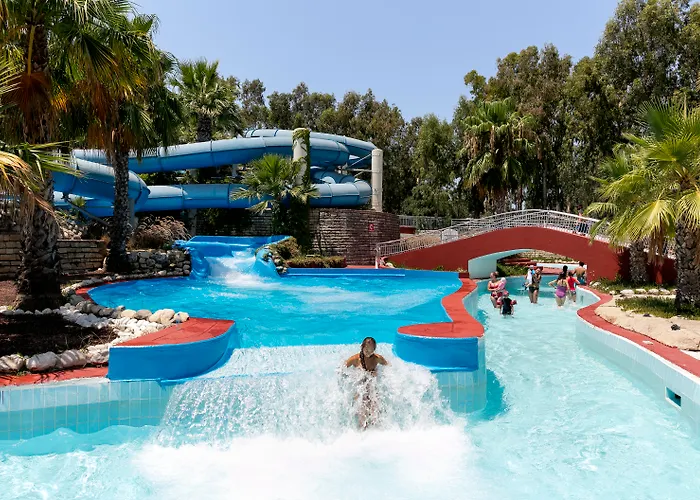 Seven Seas Blue シダ