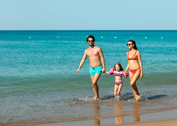 Seven Seas Blue 5* シダ