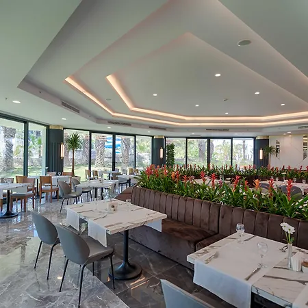 Seven Seas Blue 5* Side